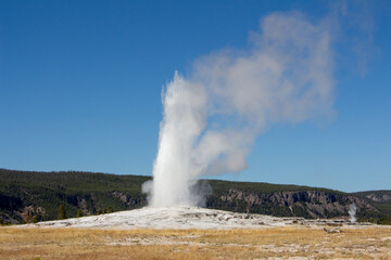 Yellowstone National Park
