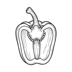 Detailed Bell Pepper Cross-Section Illustration.