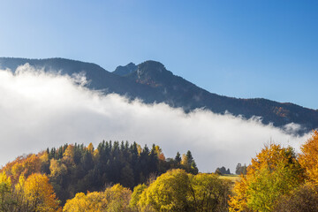 Majestic mountain view with autumn trees and fog creating a picturesque scene capturing nature's beauty and serenity. The Mala Fatra national park in northwest of Slovakia, Europe.