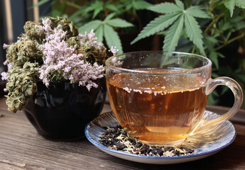 Natural Therapy: Herbal Tea with Cannabis. A cup of herbal tea for relaxation and well-being, with dried marijuana flowers (CBD buds) and cannabis leaves in the background, highlighting phytotherapy a