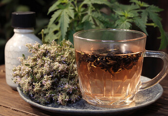 Therapeutic Herbal and CBD Infusion. A cup of herbal tea with cannabis leaves (marijuana) and dried thyme or marjoram, promoting phytotherapy, well-being, and natural medicine for relaxation.