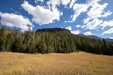 Yellowstone National Park