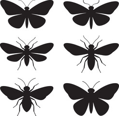 Six black silhouette insects including butterflies and moths on white background butterfly