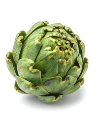 Obraz premium Fresh artichoke head