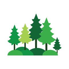 vector illustration of a pine trees