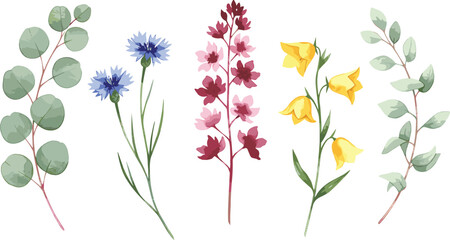 Watercolor floral set with eucalyptus, cornflowers, pink blooms, yellow bells, and greenery — perfect for wedding invites, scrapbooking, stationery, and nature-themed designs