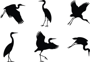 black heron bird silhouettes set, flying and standing poses collection, elegant wading bird vector illustration, isolated design for wildlife, nature, and art projects