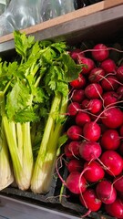 Organic vegetables, radishes and celery, are on display at a vegetable stand. Healthy eating