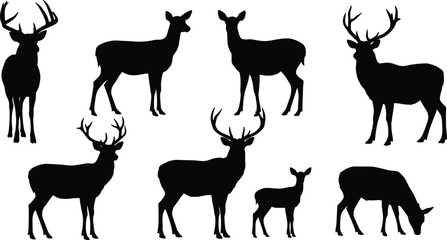 Deer silhouettes set, male and female profiles, antler and non‑antler variations, wildlife vector art, forest animal icons, hunting design illustration
