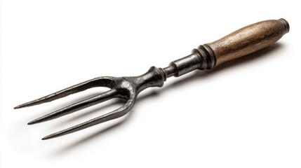 Obraz premium an antique style metal fork with multiple prongs, exhibiting signs of wear and possibly age