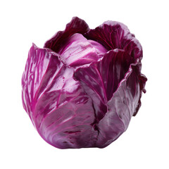 Fototapeta premium Fresh and Vibrant Whole Purple Cabbage on White Background for Healthy Food Concept