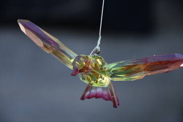 Fototapeta premium Hummingbird Ornament