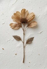 Dried flower on rough white surface