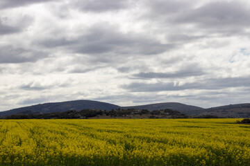 Horizonte en la sierra