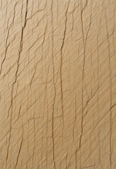 Diagonal raw wood plank with clean light brown grain 