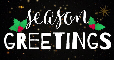 Fototapeta premium Image of season greetings text over stars