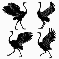 set of silhouettes of -ostrich birds