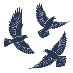 vector illustration of an eagle