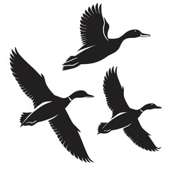 silhouettes of birds duck