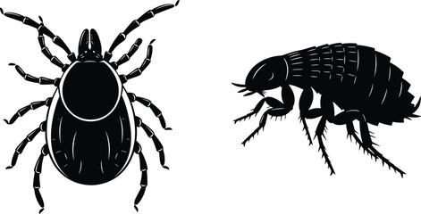 Silhouettes of tick and flea insects, parasite illustration, veterinary health concept, pest control design, insect biology artwork, disease carriers, flat vector