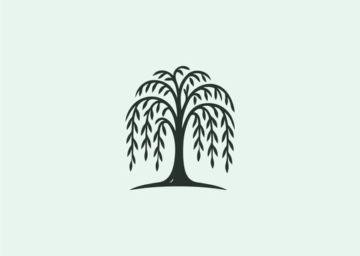 A simple line style logo of a willow tree, representing grace, endurance, and emotional depth