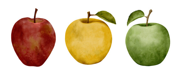A Colorful and Diverse Variety of Apples Red, Yellow, and Green for All Occasions