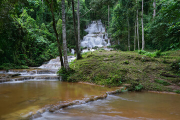 waterfall in green forest