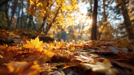 Nature's canvas: bright yellow leaves adorning a tranquil autumn park. Advertising photo. Golden bliss: an enchanting play of light in a verdant autumn park. Print ready. Sharp image.