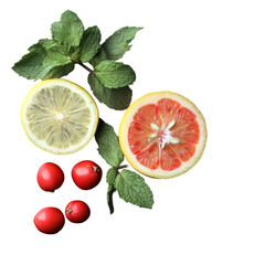 Fresh Grapefruit Fruit –fresh grapefruit, vietnam grapefruit, grapefruit fruit, high quality grapefruit, tropical fruit grapefruit, vietnam fruit export, citrus fruit gra High Quality from Vietnam and