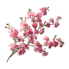 Pink cherry blossom branch against transparent background vector illustration