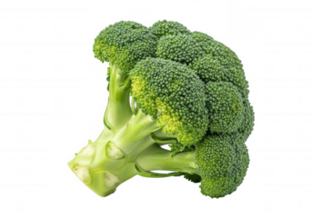 Green broccoli florets on black isolated on a transparent background