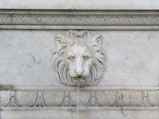 detail of a lion head