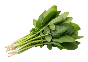 Fresh green leafy vegetables isolated on a transparent background