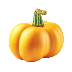 Vibrant yellow pumpkin with green stem isolated on transparent background