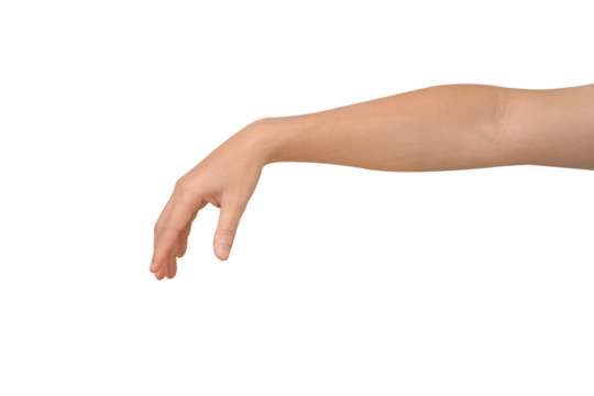Close-up of a beautiful hand gesturing to pick up or hold a small, invisible object. Isolated on a transparent PNG. - Powered by Adobe
