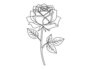 Simple line art rose