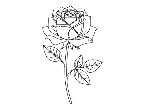 Simple line art rose
