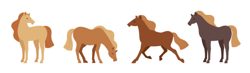 Relaxing wild horse illustration set