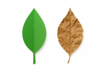 Green paper leaf and crumpled brown leaf side by side illustrating life cycle, change, and nature