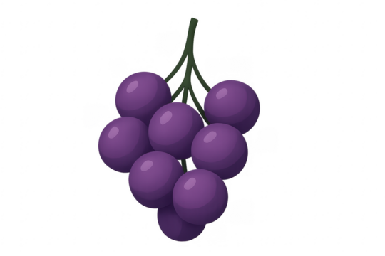 Purple grape bunch vector illustration with transparent background