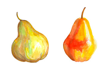 Two pears are illustrated side by side, one in green and the other in orange. The artwork highlights their smooth textures and natural beauty, creating a fresh and inviting scene.