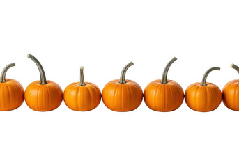Orange gourds lined up isolated on a transparent background