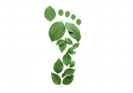 Green leaf footprint against black isolated on a transparent background
