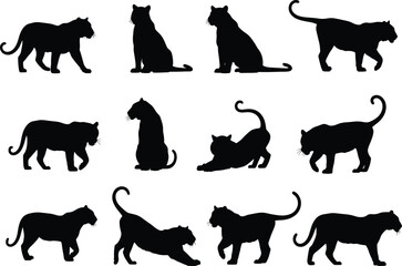 Black panther silhouette vector set, big cat in various poses, jungle predator illustration, wild feline animal design for stock content