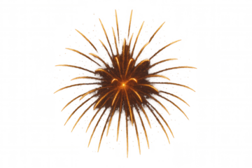 Golden exploding firework light burst, sparkling pyrotechnics creating festive illumination celebrating new year, holidays, parties