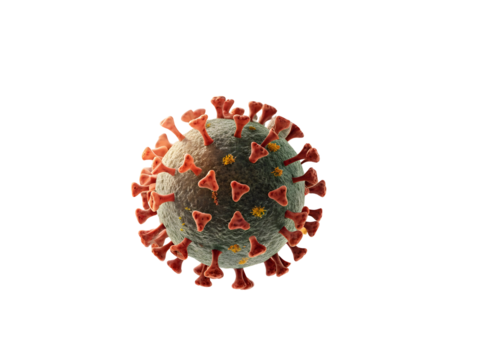 3D rendering of the COVID-19 virus particle structure, showing the spike proteins and viral envelope isolated on transparent background
