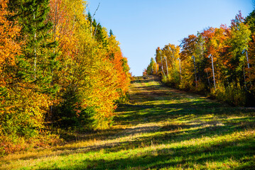 Naklejka premium Saint-Sauveur, Canada - Oct. 5 2025: The beautiful panoramic autumn view from top of Saint-Sauveur mountain in Quebec Canada