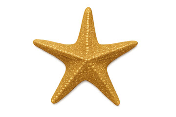 Golden starfish displaying marine life on transparent background