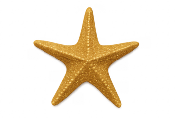 Golden starfish displaying marine life on transparent background
