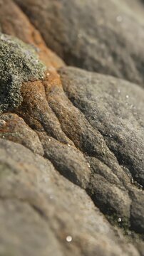 Close Up of Rough Rock Surface With Deposits of Sparkling Minerals and Moss